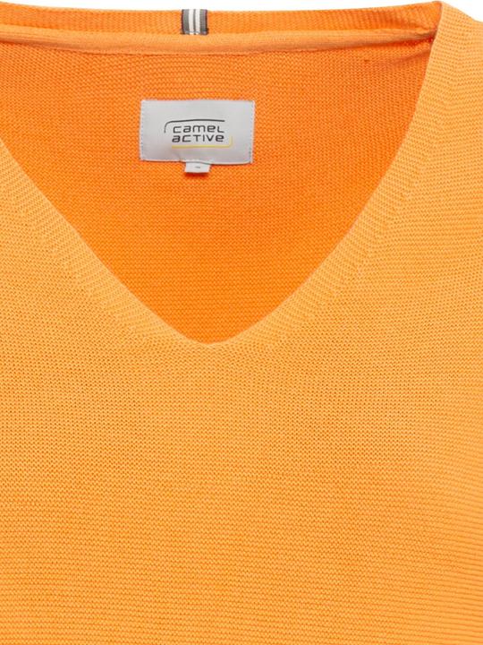 Produktbild Camel Active Feinstrickpullover mit V-Ausschnitt (S)