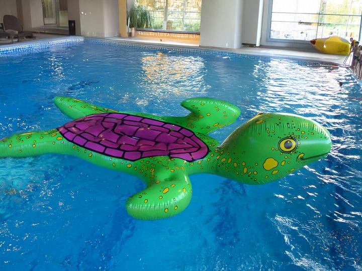 Image du produit Aircraft Jeu d'eau tortue
