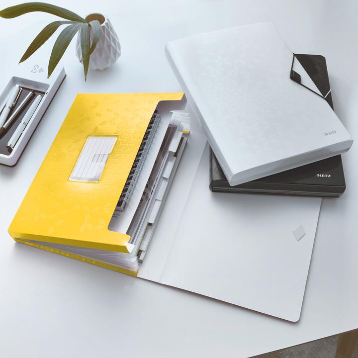 Image du produit Leitz WOW - Dossiers de projets (A4, 1 x)