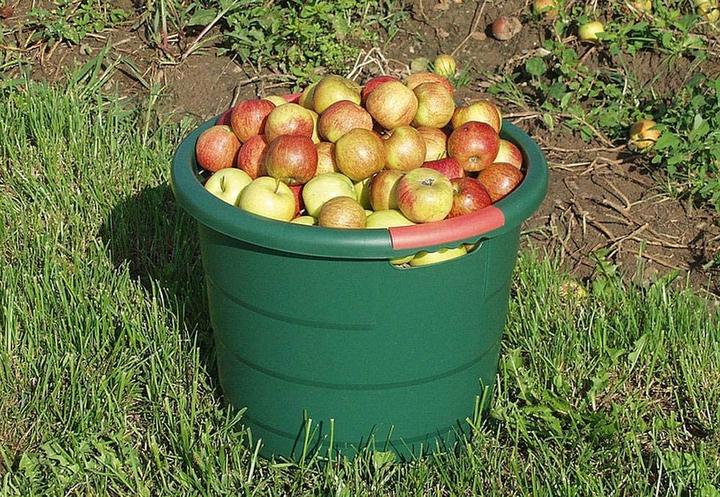 Productafbeelding Garantia Toni container (30 l)