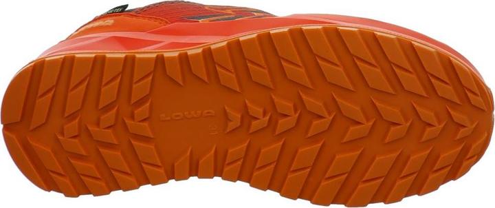 Actual product image Lowa Ferrox GTX LO (38)