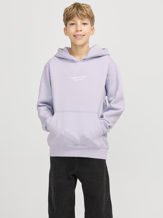 Actual product image Jack & Jones Jorvesterbro Sweat Hood Noos Jnr (128)
