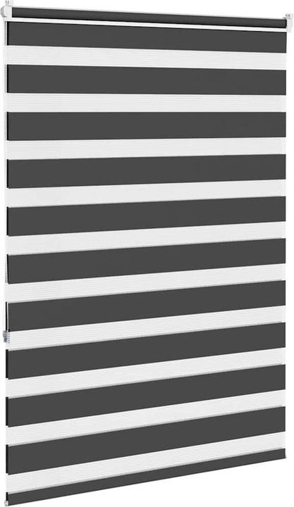 Produktbild vidaXL Zebra-Jalousie (65 x 200 cm)