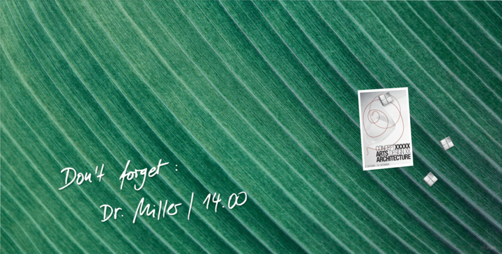 Palm Leaf matt