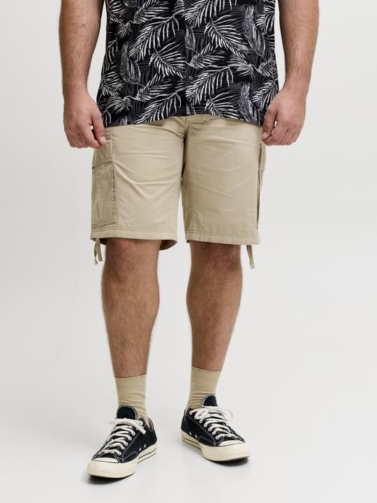 Image du produit Jack & Jones Jpstcole Frank Cargo Short Mid Sn Pls (40)