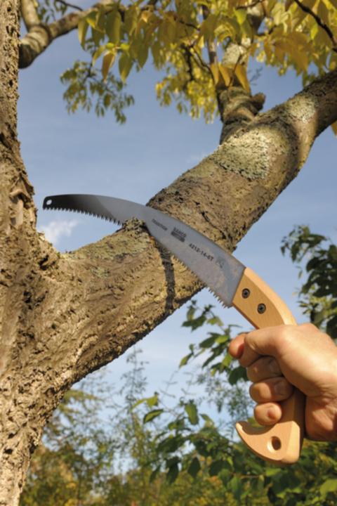 Actual product image Bahco Branch saw, wooden handle, 4211-14-6T