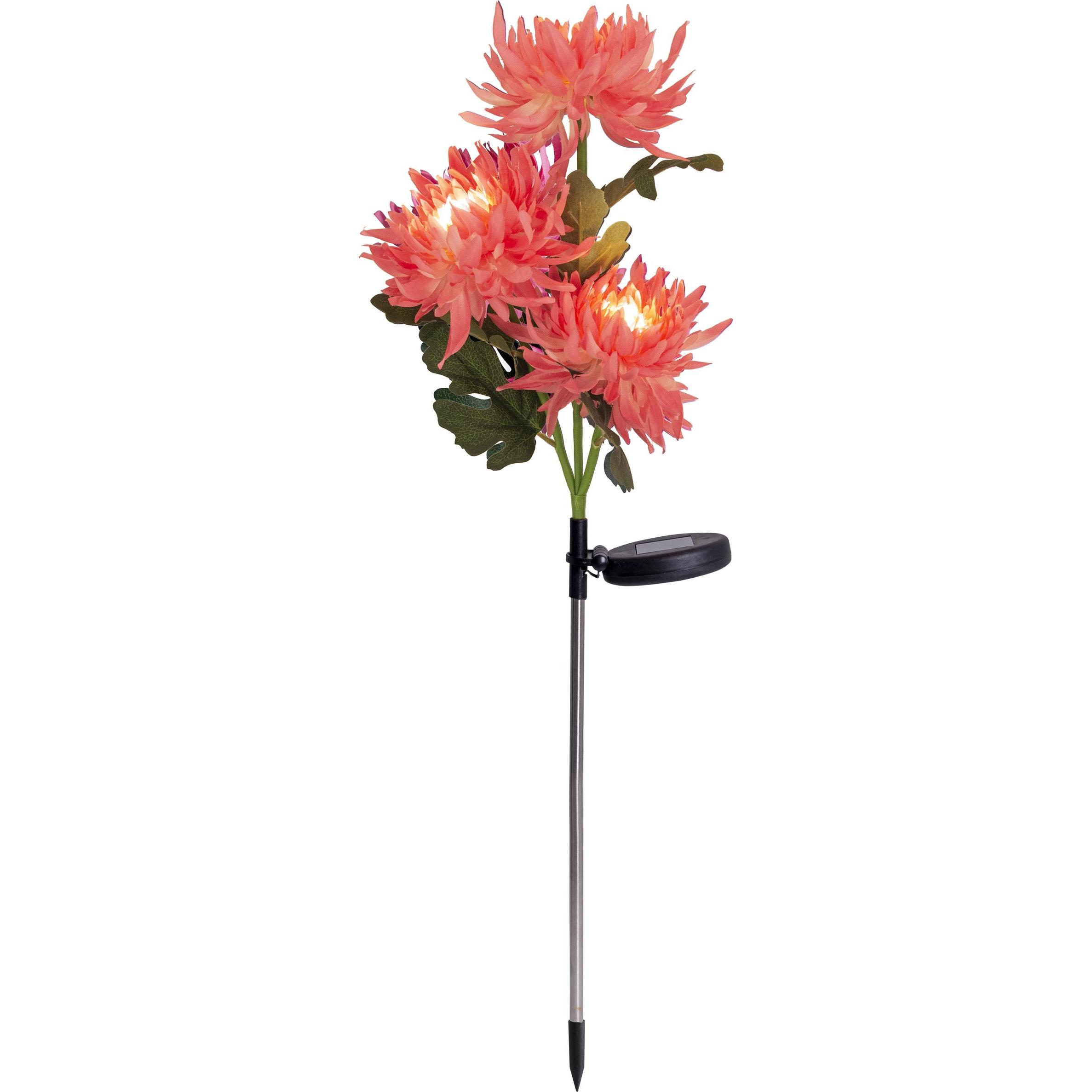 Näve, Gartenbeleuchtung, LED Solarleuchte (4 lm, IP44)