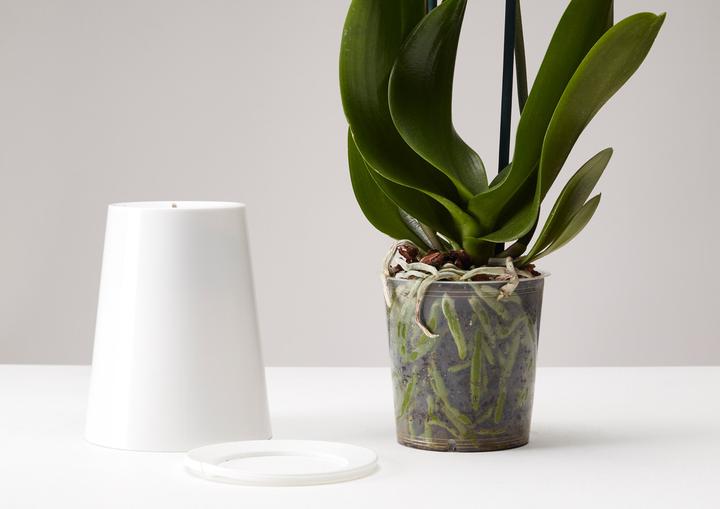 Actual product image boskke Sky Planter (9.50 cm)