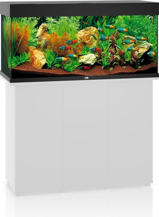 Immagine prodotto Juwel Aquarium Rio (180 l)