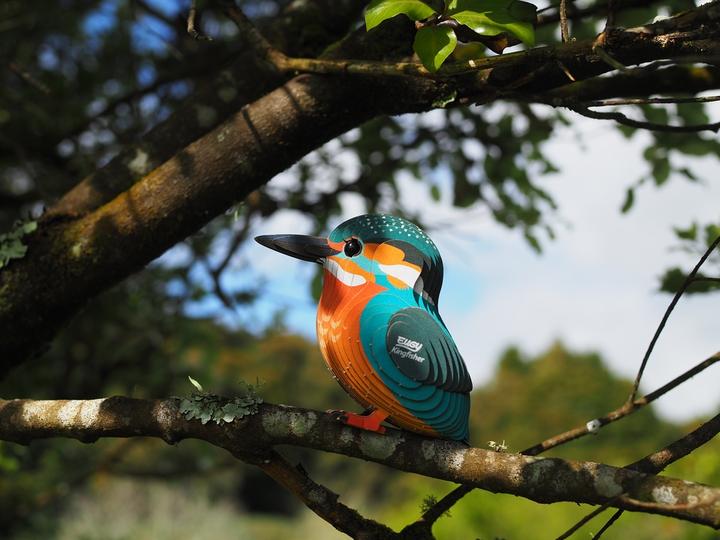 Image du produit Eugy 3D martin-pêcheur