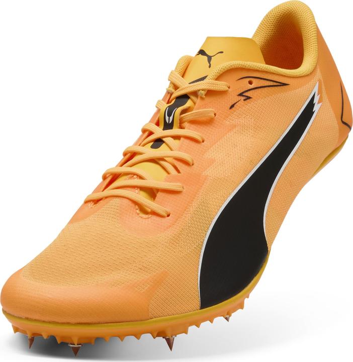 Image du produit Puma evoSPEED Brush 7 (37)