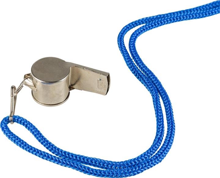 Idena Metal whistle
