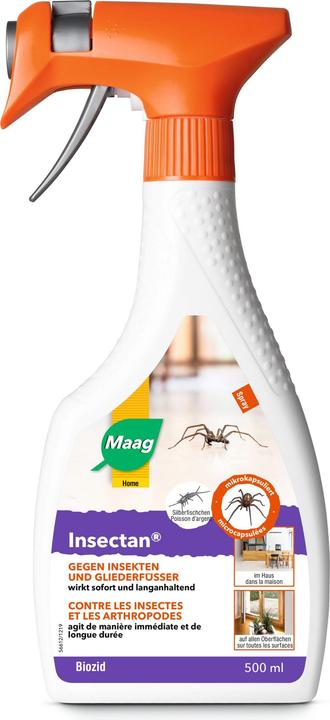 Maag Insectan (Lépismes, Gardons, Blattes)