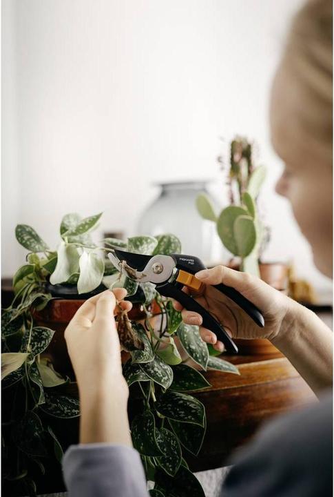 Actual product image Fiskars Solid bypass garden shears P121