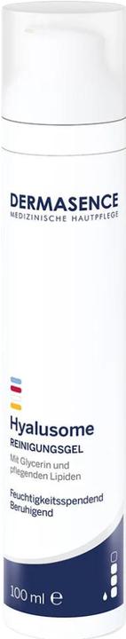 Actual product image Dermasence Hyalusome Cleansing Gel Gel (Cleansing gel, 100 ml)