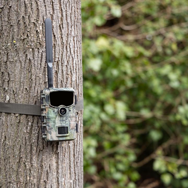 Actual product image Rollei Wildlife camera 4G