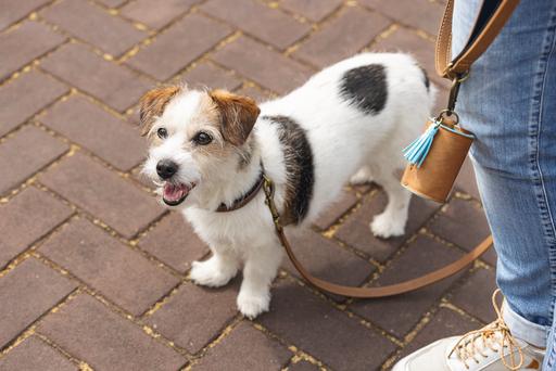 Actual product image Beeztees Bz Balacron Barf Bag Dispenser O (Dog)