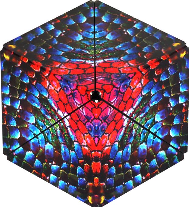 Immagine prodotto Shashibo Il camaleonte Cube (Multilingue, 1 Giocatori)