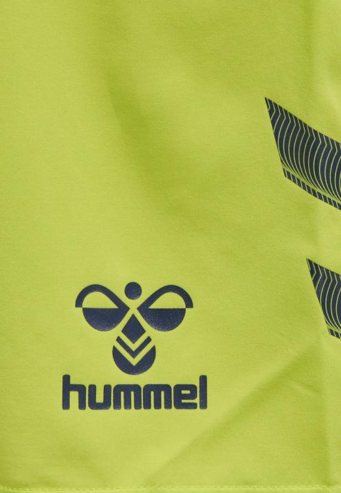 Actual product image hummel Lead Pro Training Shorts (M)