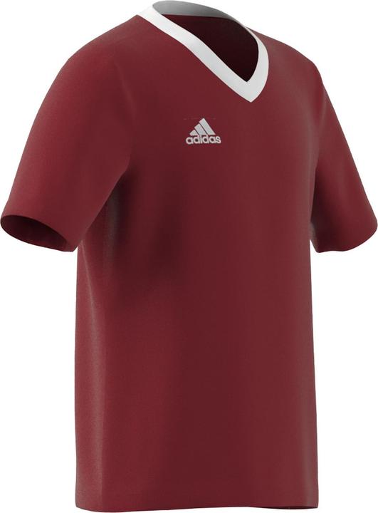 Produktbild adidas Entrada 22 Trikot (128)