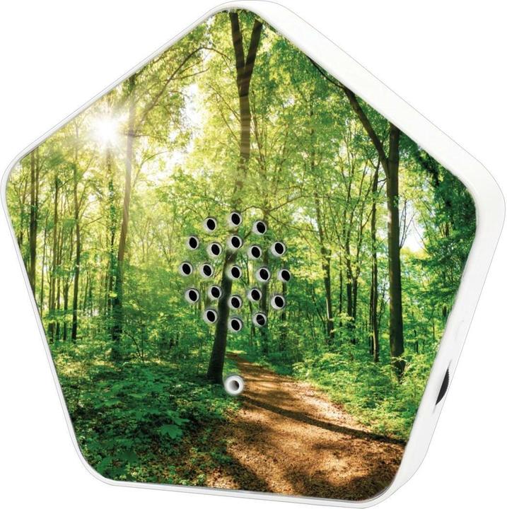 Actual product image Olymp Sounds of Nature Box 4 Klänge, 12 Motive