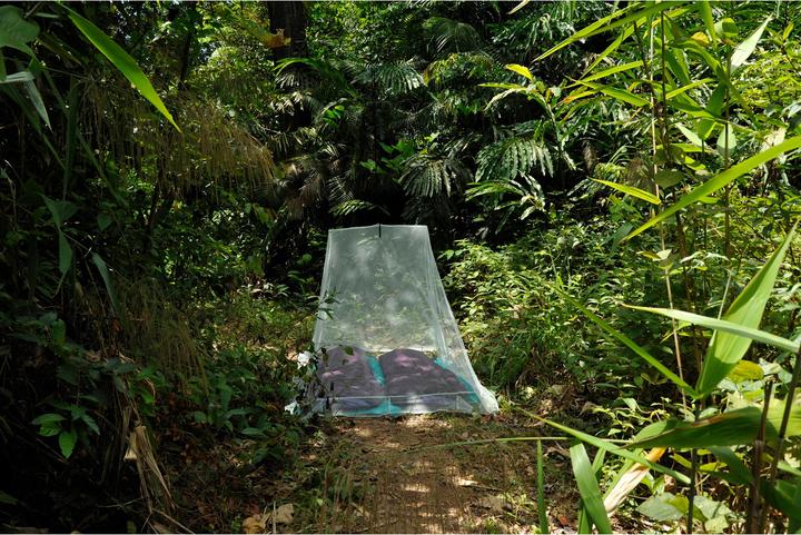 Actual product image Cocoon Mosquito Outdoor Net (120 x 220 cm)