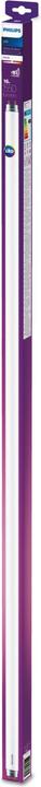 Produktbild Philips LED Leuchtstoffröhre (G13, 16 W, 1550 lm, 1 x, F)