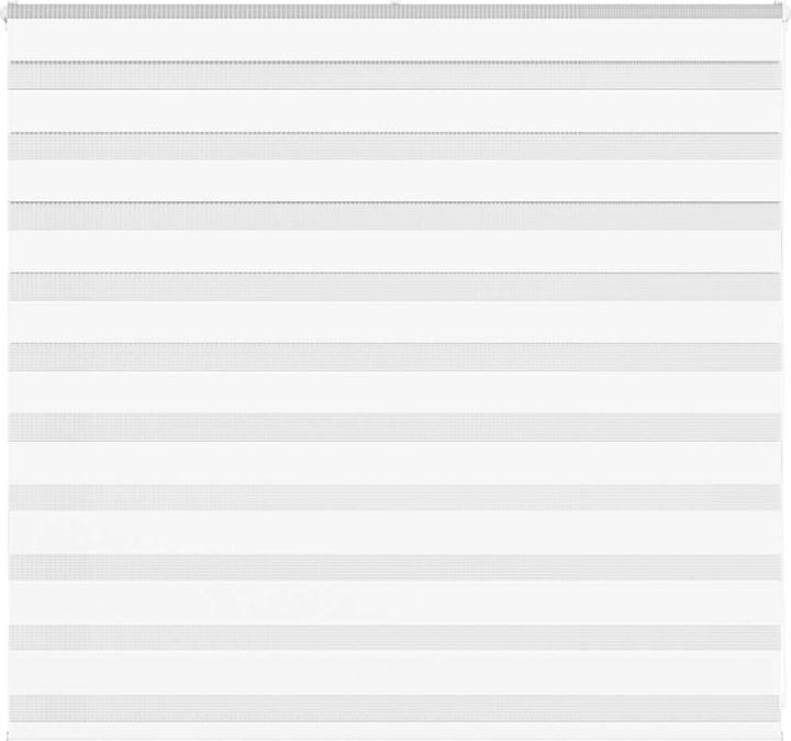 Produktbild vidaXL Zebra-Jalousie (160 x 100 cm)