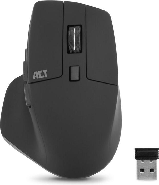 Maus