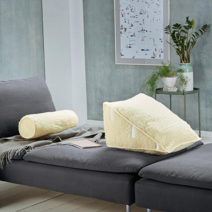 Image du produit Erwin Müller Coussin dorsal avec traversin (Litière)