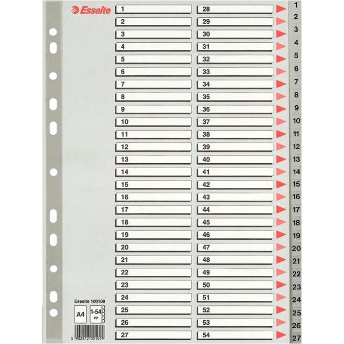 Esselte, Ordner Zubehör, PPP A4 deckt grau 1-54 (10K154F)
