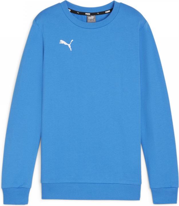 Actual product image Puma teamGOAL Casuals Crew Neck Sweat Jr (140)