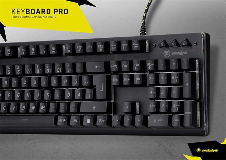 Actual product image Snakebyte Pro (CH, Cable)