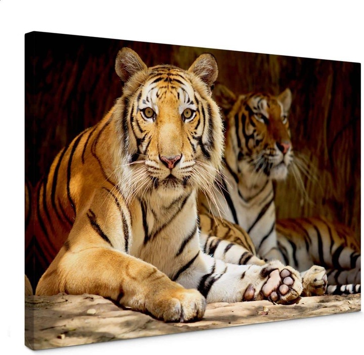 Immagine prodotto Trenddeko Due tigri reali del Bengala (150 x 100 cm)