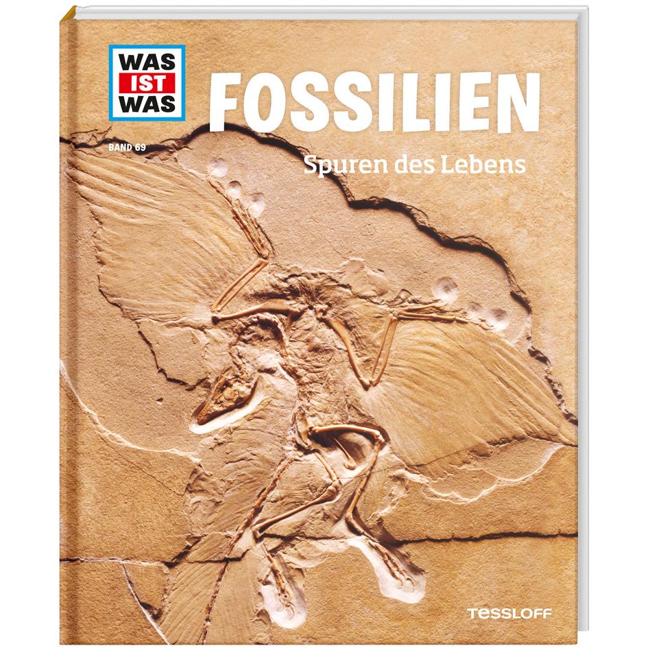 Fossilien, Kinderbücher von Dr. Manfred Baur