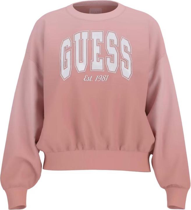 Immagine prodotto Guess Pullover Damen (XL)