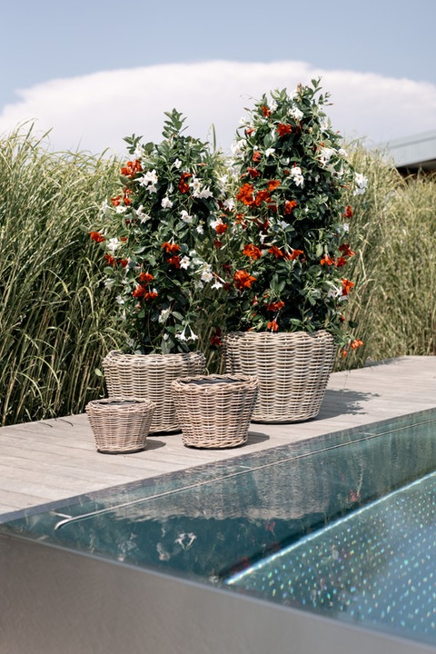 Actual product image Van der Leeden Bali