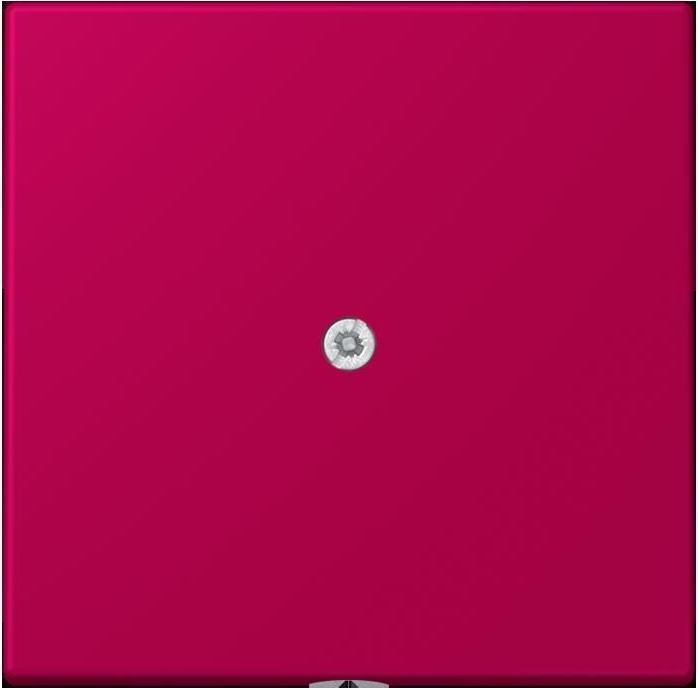 Produktbild JUNG Leitungsauslass