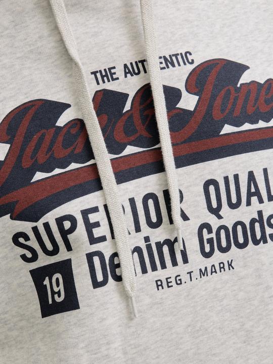 Actual product image Jack & Jones JJELOGO SWEAT HOOD 2 COL 25/26 NOOS (L)