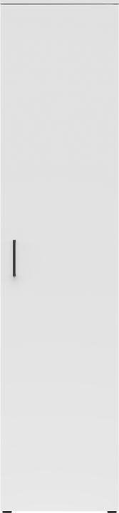 Actual product image Lipo Cabinet (45 x 40 x 195 cm)