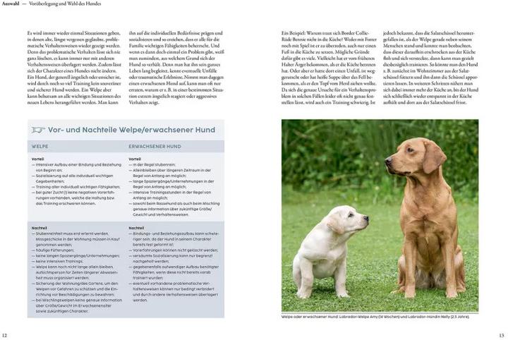 Immagine prodotto Kosmos Welpentraining mit Martin Rütter (Tedesco, Martin Rütter, 2022)