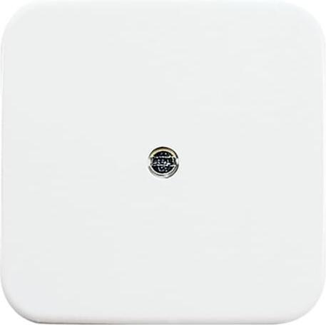 Produktbild Busch-Jaeger Zentralscheibe