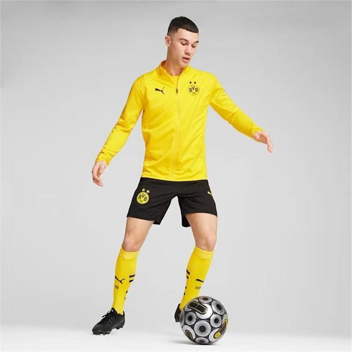 Produktbild Puma BVB Training Jacket (L)
