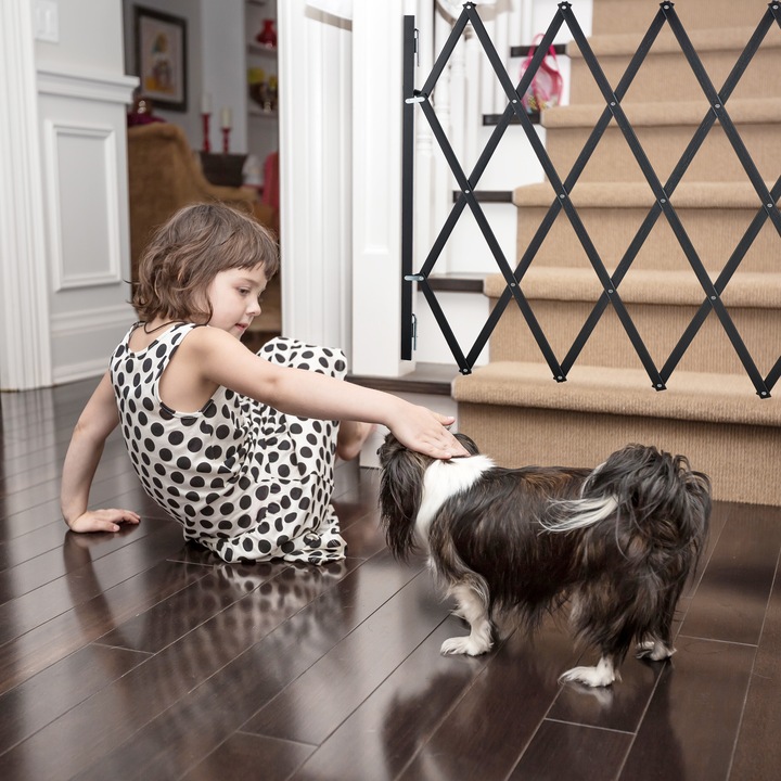 Immagine prodotto Relaxdays Barriera per cani (3 cm)
