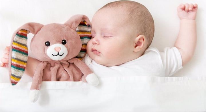 Image du produit ZaZu Doudou avec module sonore amovible