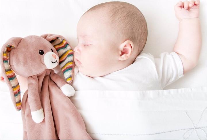 Image du produit ZaZu Doudou avec module sonore amovible