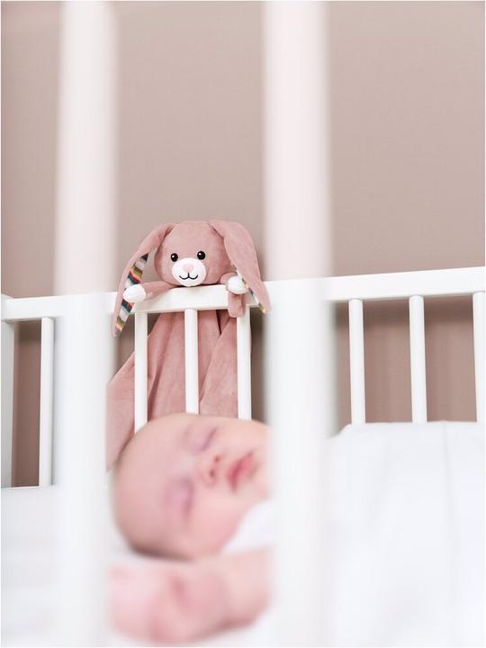 Image du produit ZaZu Doudou avec module sonore amovible