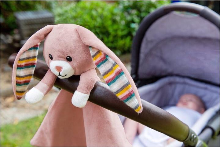 Image du produit ZaZu Doudou avec module sonore amovible