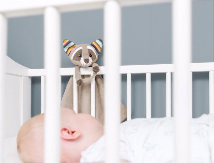 Image du produit ZaZu Doudou avec module sonore amovible