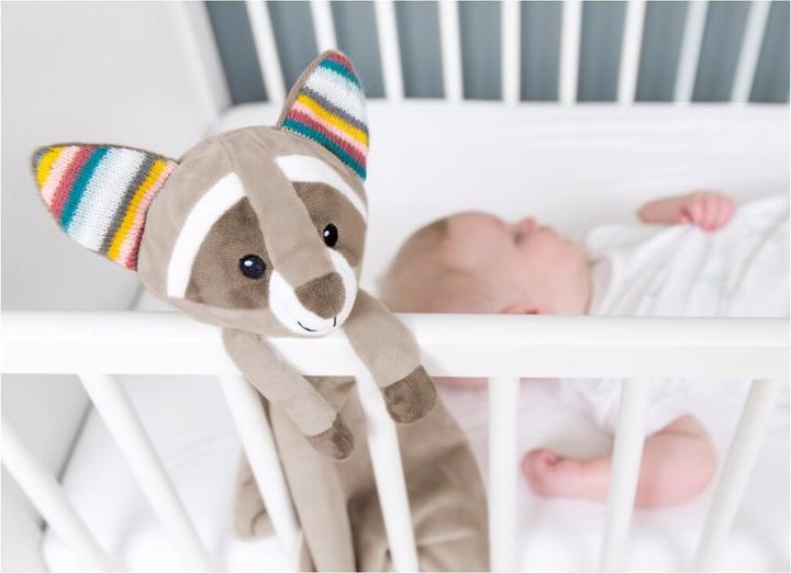 Image du produit ZaZu Doudou avec module sonore amovible